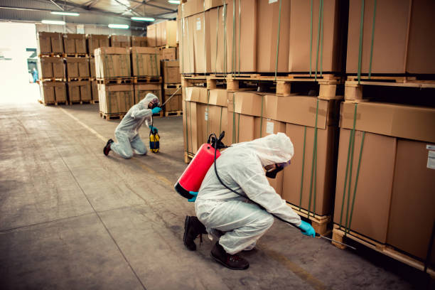 Best Residential Pest Control  in Chatsworth, GA