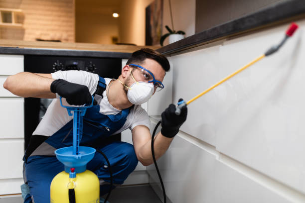 Pest Control for Restaurants in Chatsworth, GA