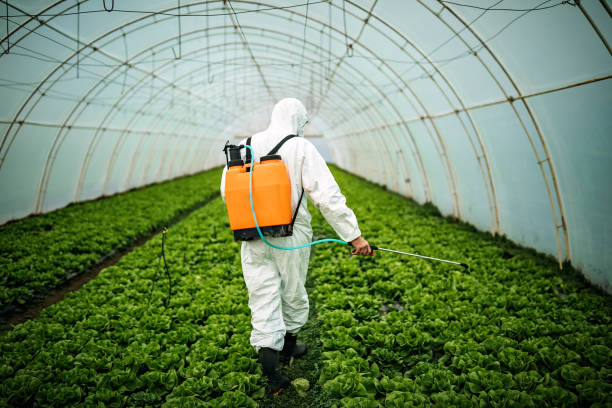 Best Pest Control Near Me  in Chatsworth, GA