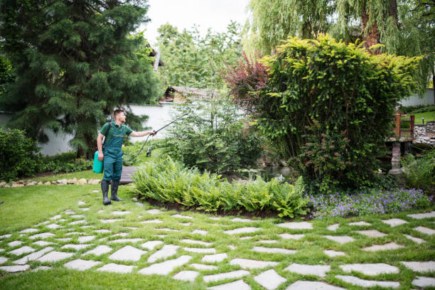 Best Insect Control  in Chatsworth, GA