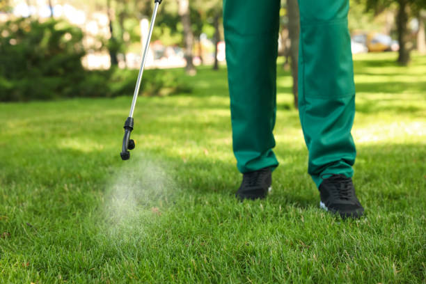 Best Pest Control Cost  in Chatsworth, GA