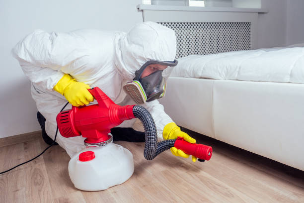 Best Emergency Pest Control  in Chatsworth, GA
