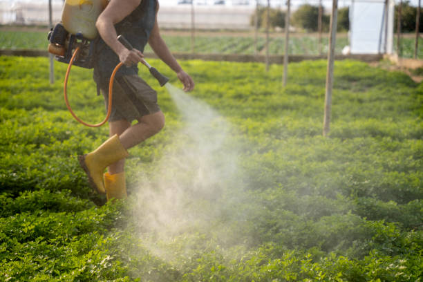 Best Best Pest Control Companies  in Chatsworth, GA