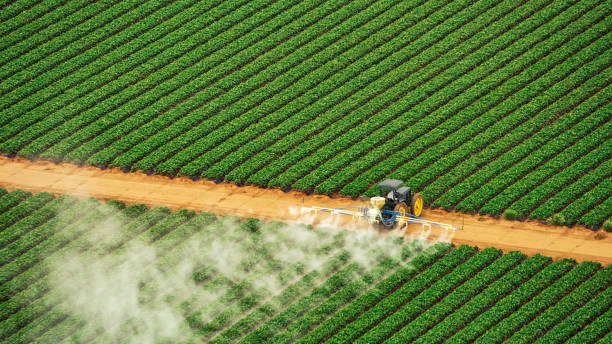 Best Best Pest Control Companies  in Chatsworth, GA
