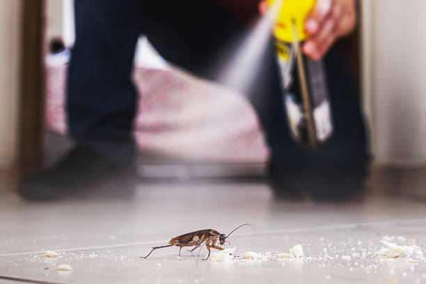 Best Termite Control Services  in Chatsworth, GA