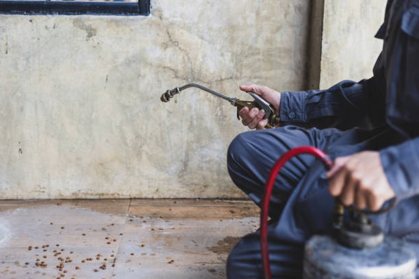 Best Commercial Pest Control Services  in Chatsworth, GA