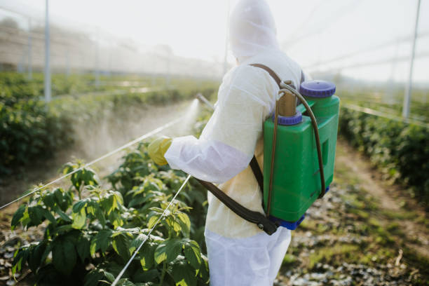 Best Termite Control Services  in Chatsworth, GA